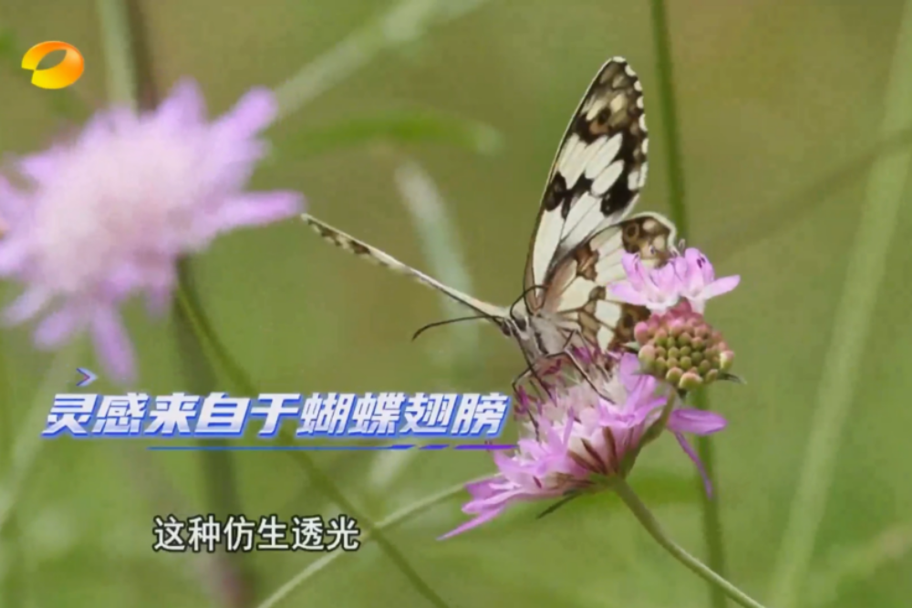 未命名的设计 (11).png