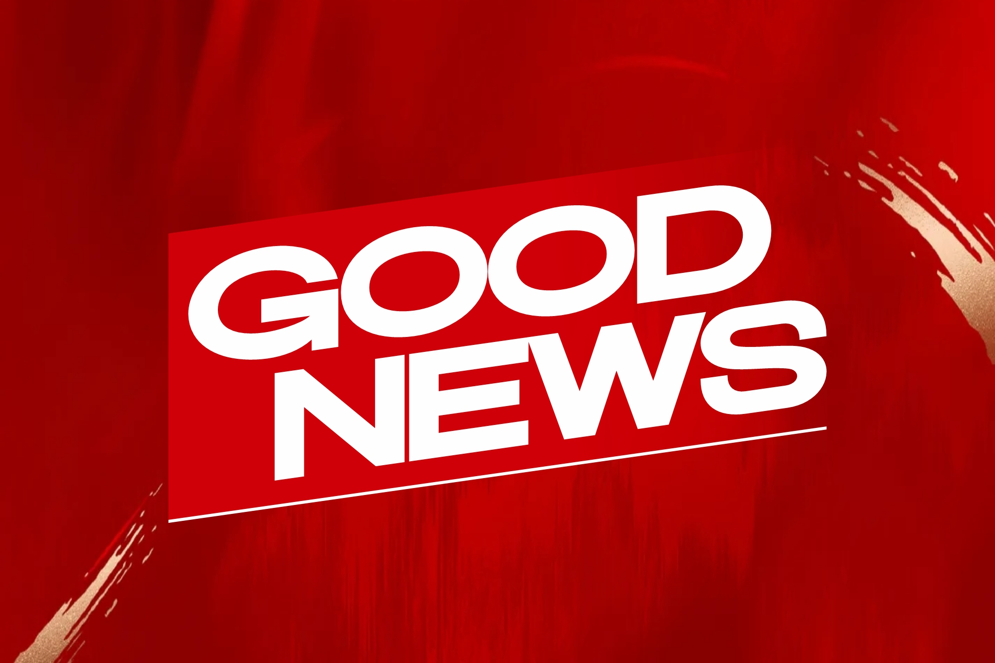 Good News｜FILMBASE Honored as Seventh Batch of National Specialized, Refined, Distinctive, and Innovative “Little Giant” Enterprises