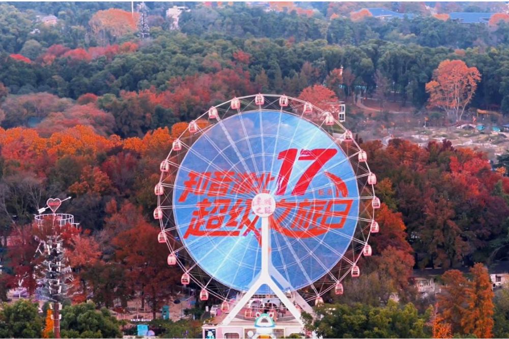 “Advertising Applications for Ferris Wheel Outdoor Displays.jpg